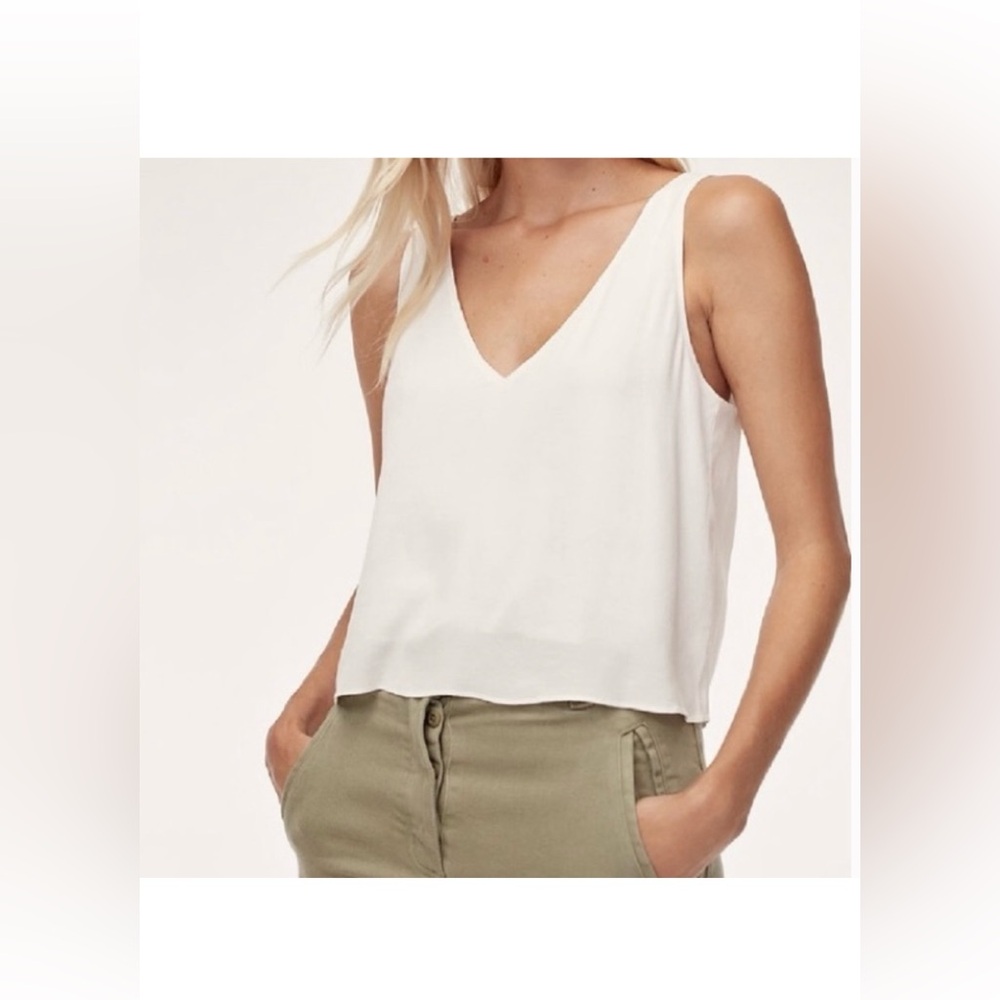 Aritzia Wilfred Kempner Top